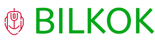 bilkok.com